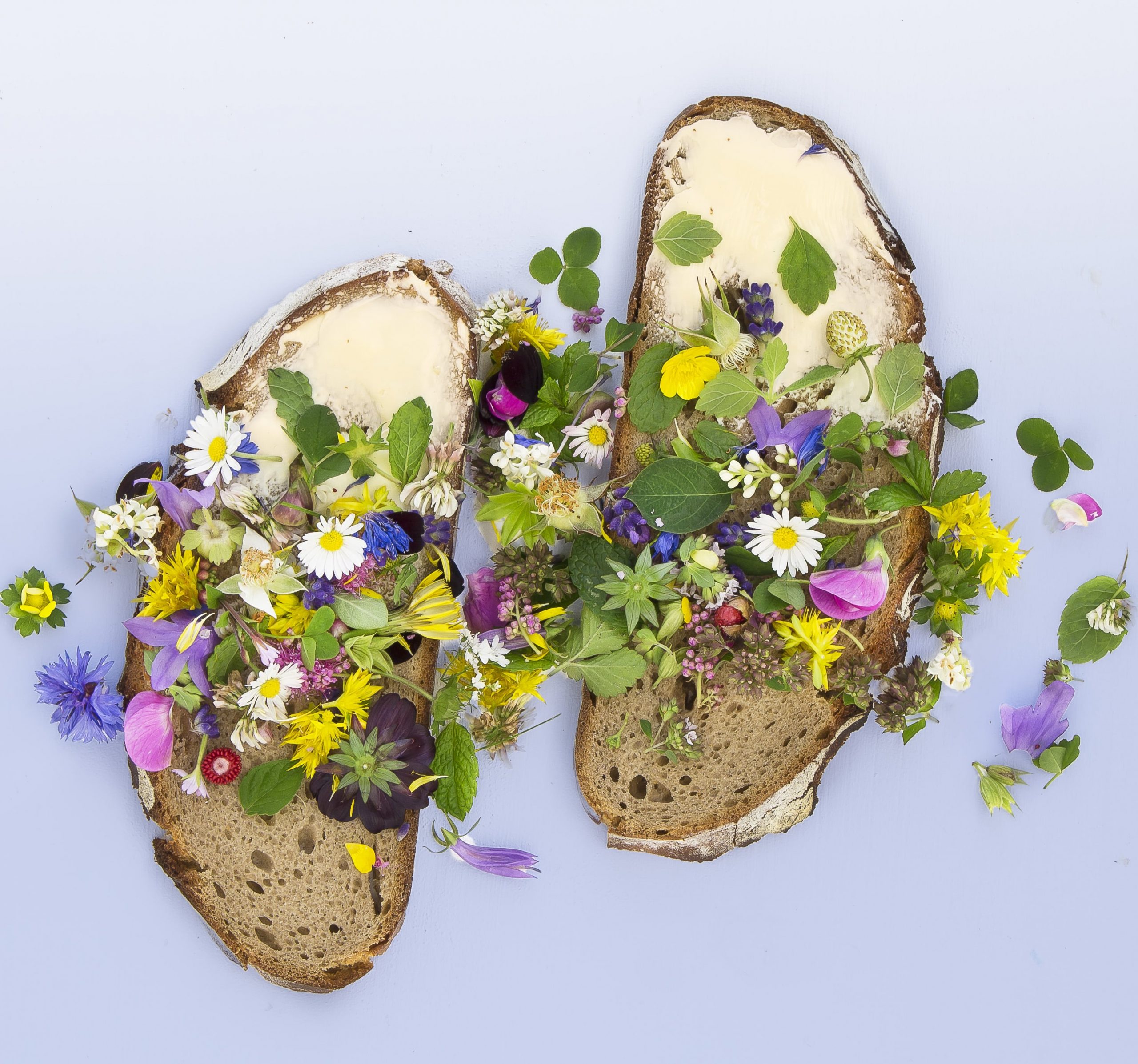 tuinagenda buitenleven magazine eetbare bloemen