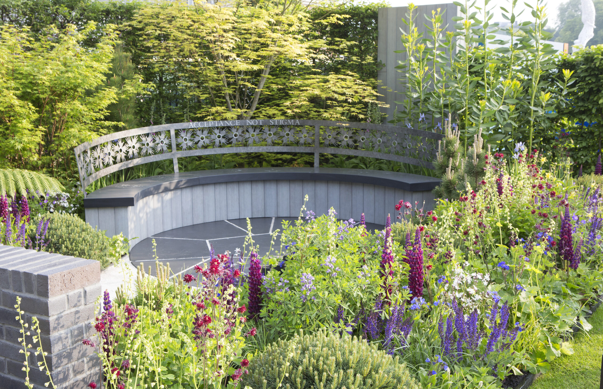 lupine varianten buitenleven magazine